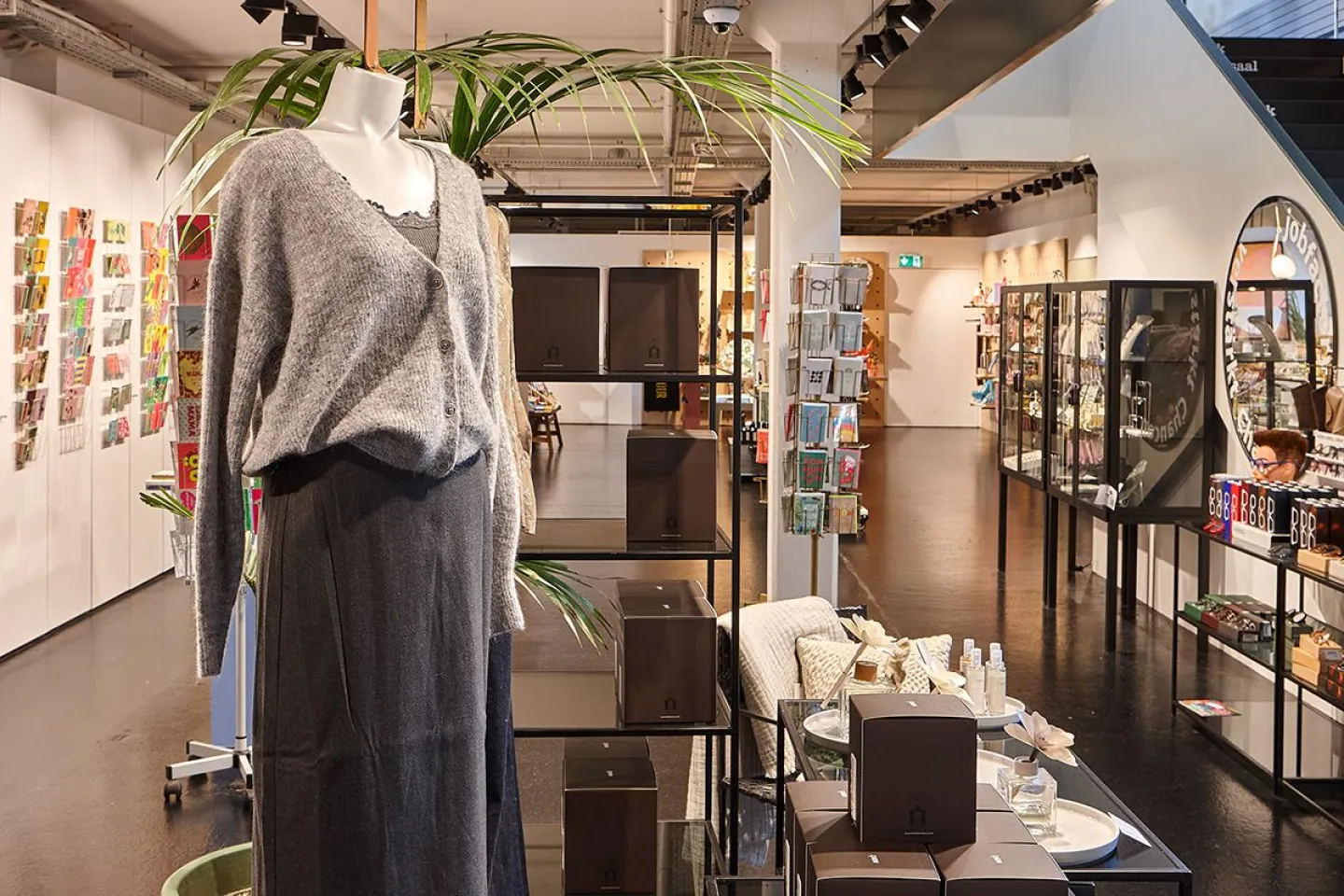 dl_concept-store.jpg