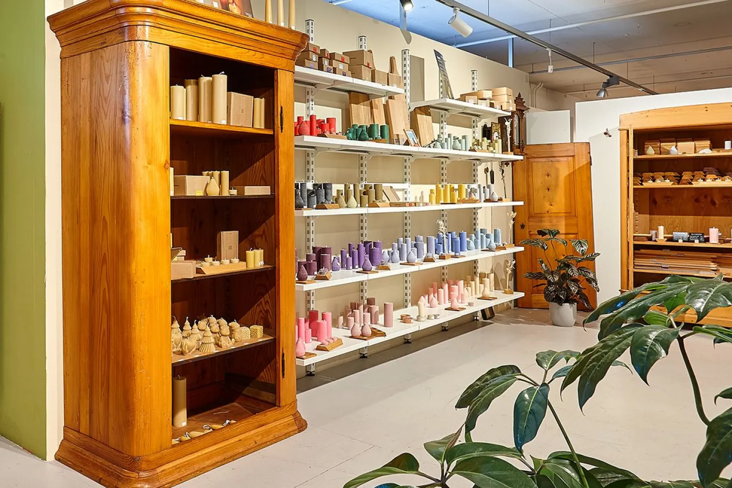 dl_junior-store.jpg